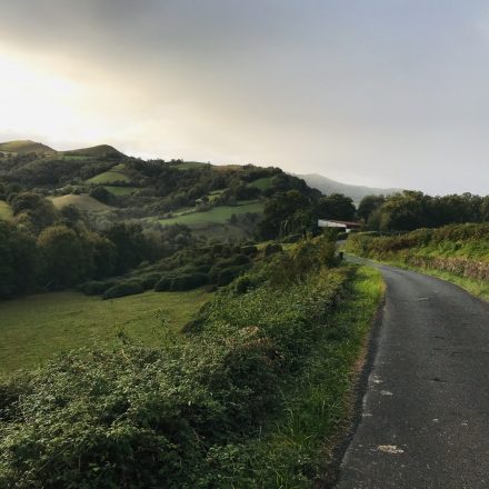 Two Roads Lead to Roncesvalles