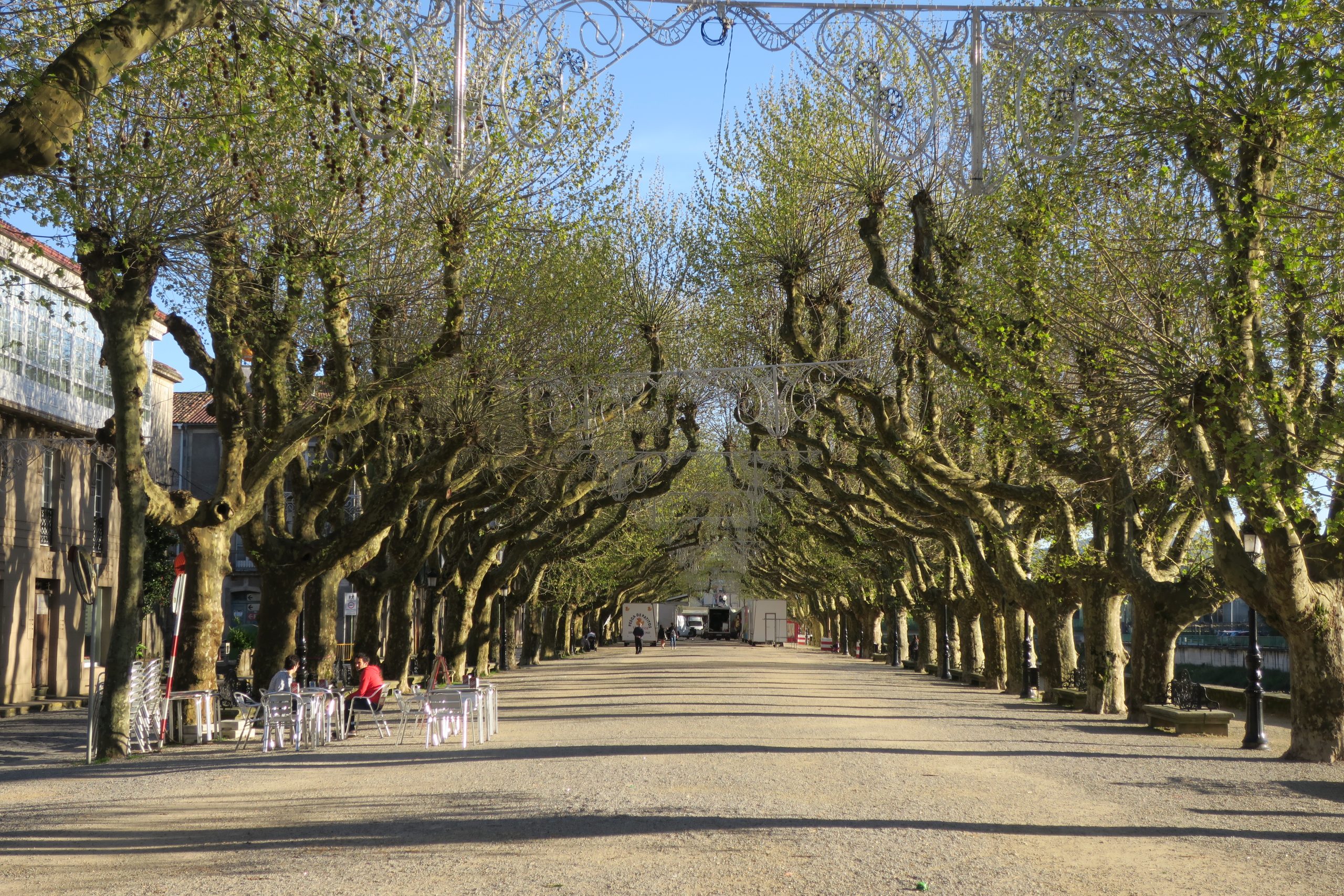 An Afternoon In Padrón